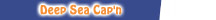 DEEP SEA CAP'N